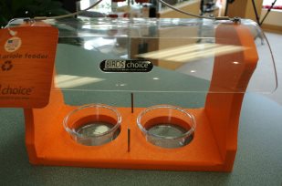 best Oriole feeder holds fruit, jelly, meals worms, and orange nuggets