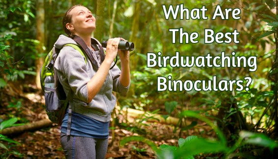 features of good birding binoculars