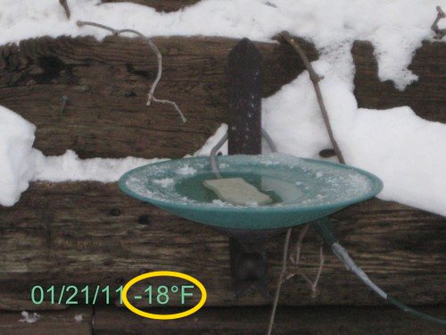 6-Electric Bird Bath De Icer Heater Thaw Thermostatically Controlled 150W C-50 