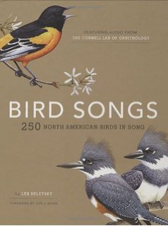 bird song identification audio guide