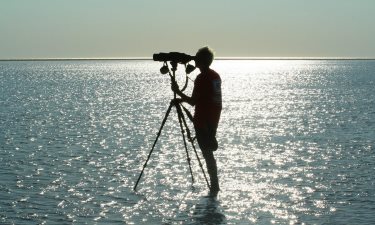 how to chose the best bird watching spotting scope