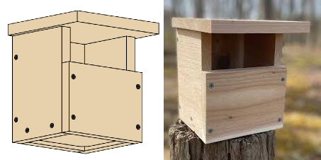 carolina wren nest box plans
