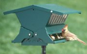 heritage farms absolute squirrel proof bird feeder