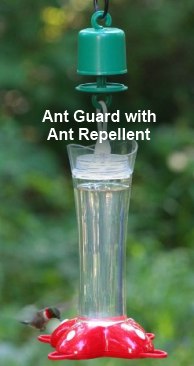 6Pcs Ant Moat for Hummingbird Feeder Authentic Trap Gets Rid of Ants Fast 