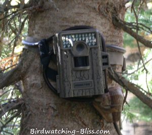 Moultrie Wingscapes Birdcam Timelapse Cam Pro 
