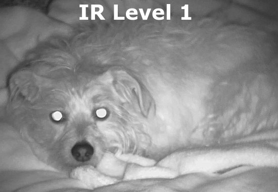 night vision binoculars level 1 illumination