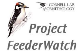 participate in Cornell Lab of Ornithology Project Feederwatch