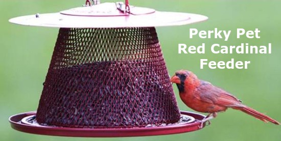 mesh red cardinal bird feeder