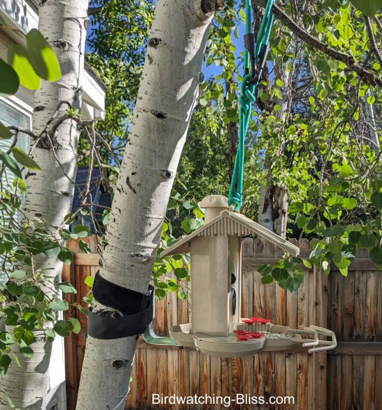 solar powered smart bird feeder review hanging from tree
