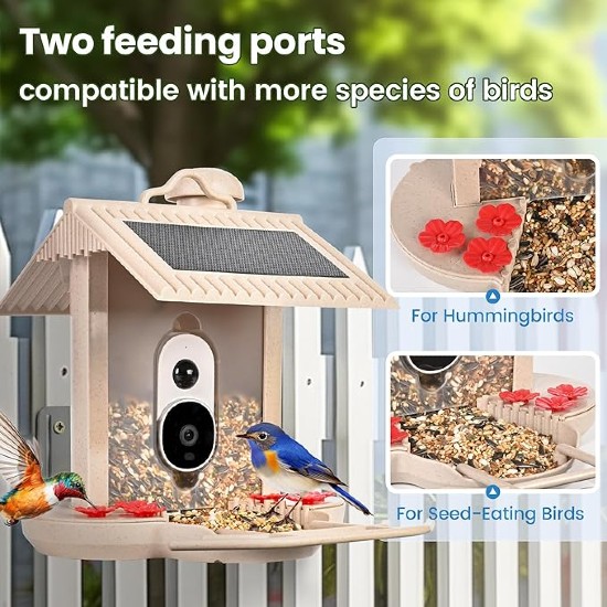 solar powered smart bird feeder with camera review