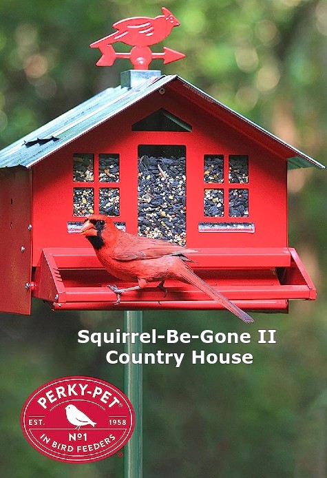 squirrel be gone cardinal feeder