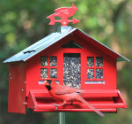 squirrel be gone squirrel proof bird feeder