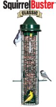 squirrel buster classic feeder