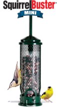 squirrel buster mini