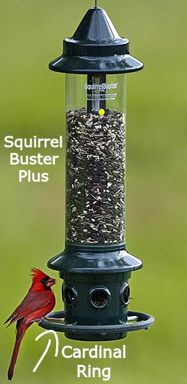 squirrel buster plus feeder with cardinal ring