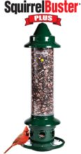 squirrel buster plus bird feeder