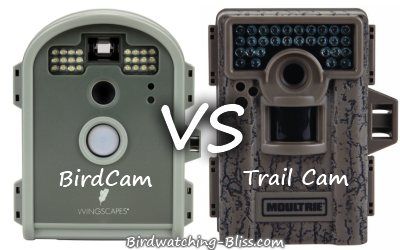 The backyard birdcam you didn't know you needed is still $60 off