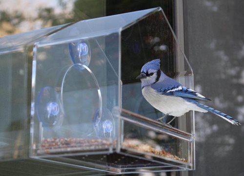 glass hummingbird feeders