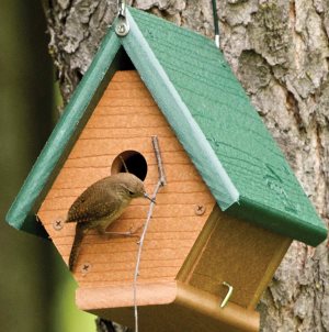 een milieuvriendelijk gerecycled groen winterkoninkjeshuis
