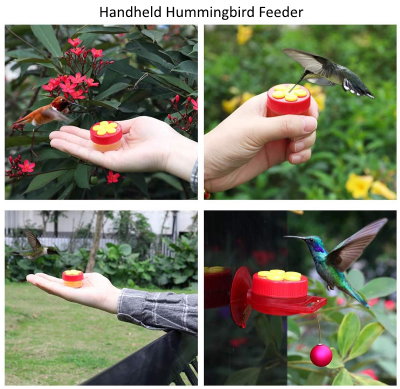 best handheld hummingbird feeder