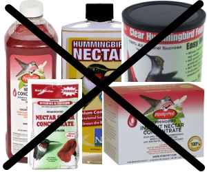 Make Hummingbird Food Nectar Stop Buying It,Vegetarian Indo Chinese Food
