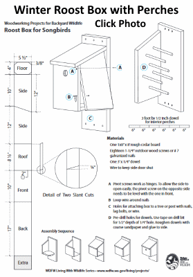 Easy Winter Bird House Plans | Winter Roost Box