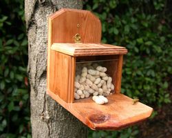 Free Squirrel Feeder Plans Easy To Build