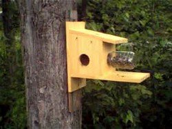 Free Squirrel Feeder Plans Easy To Build